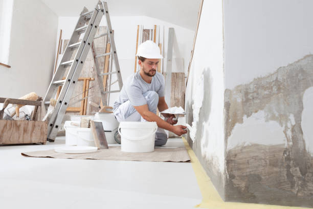 Best Drywall Removal and Disposal  in Rice Lake, WI