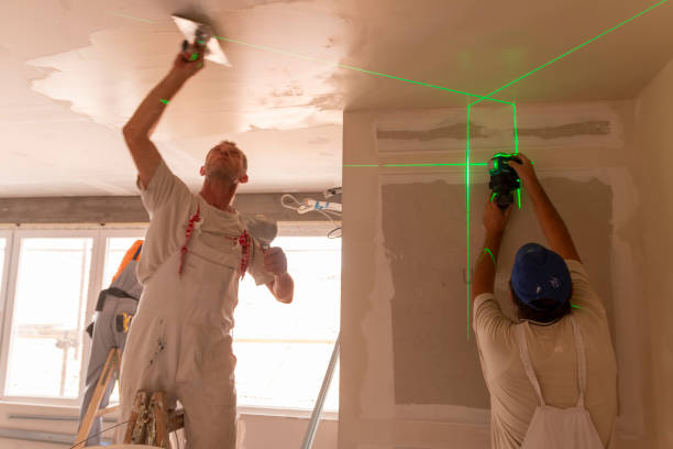 Best Ceiling Drywall Installation  in Rice Lake, WI