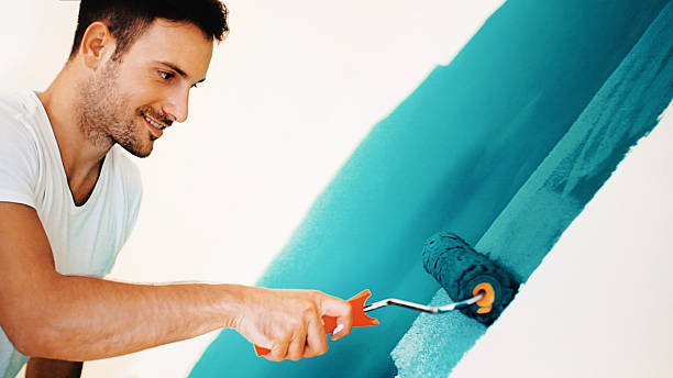 Best Residential Painting  in Rice Lake, WI